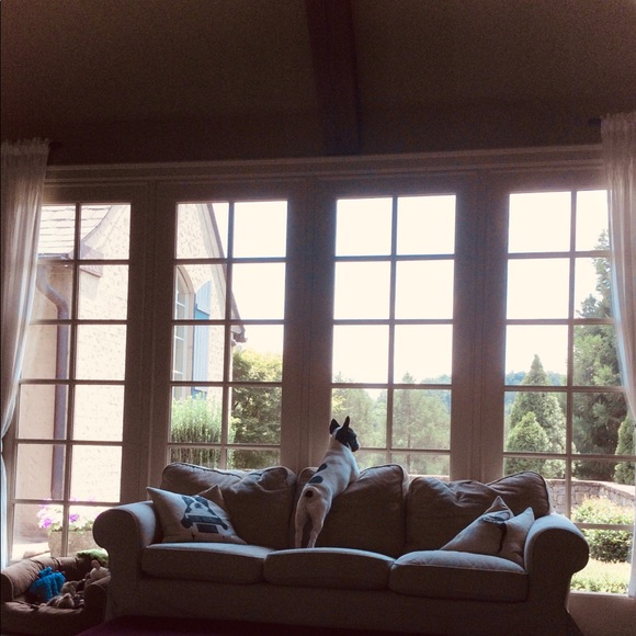 Meet your Posher, Dani ๐พ - Picture 13 of 16